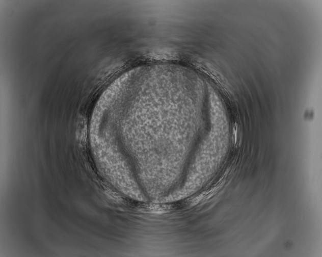 X0000099561251200806061532