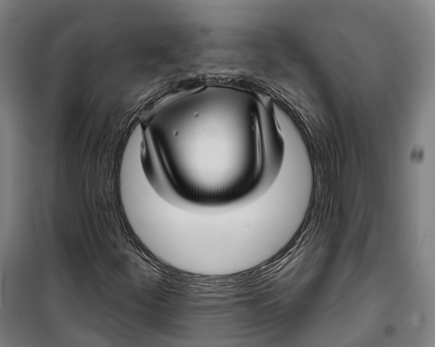 X0000099561252200806061532