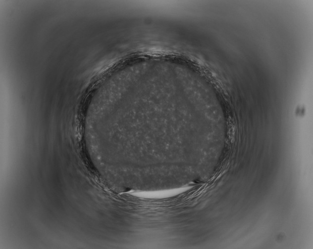 X0000099561253200806061532