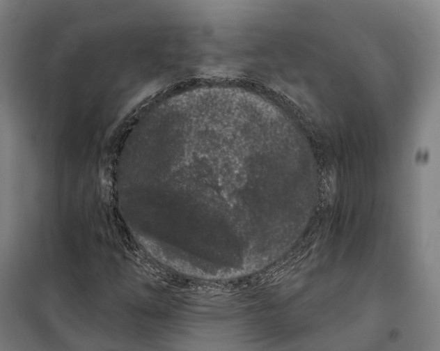 X0000099561254200806061532