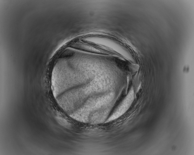 X0000099561256200806061532