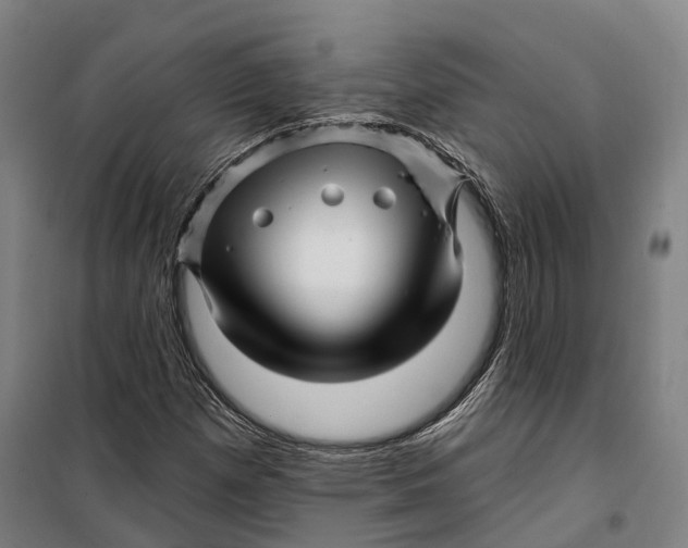 X0000099561257200806061532