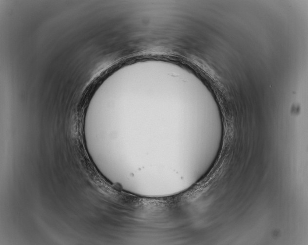 X0000099561258200806061532