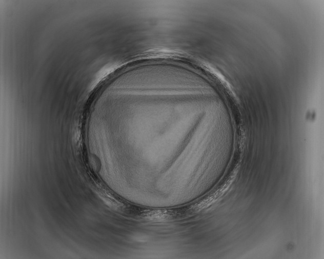 X0000099561259200806061532