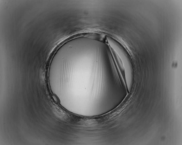 X0000099561260200806061532