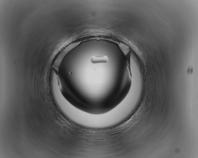 X0000099561261200806061532