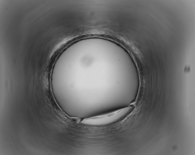 X0000099561262200806061532