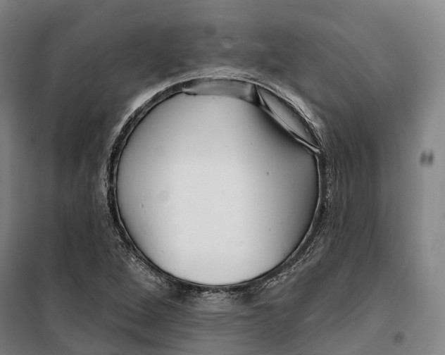 X0000099561264200806061532