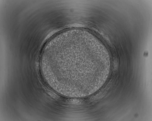 X0000099561266200806061532