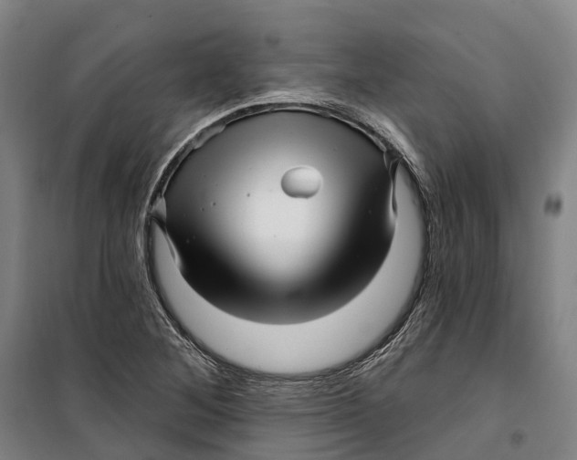 X0000099561268200806061532