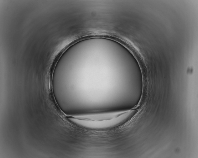 X0000099561269200806061532