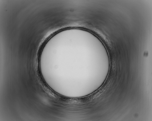 X0000099561270200806061532