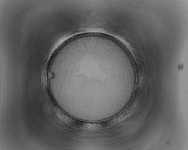 X0000099561271200806061532