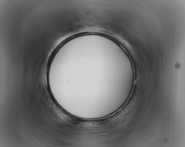 X0000099561272200806061532