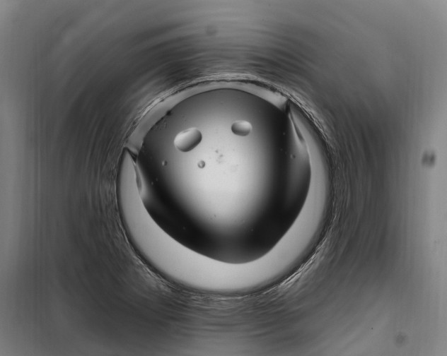 X0000099561273200806061532