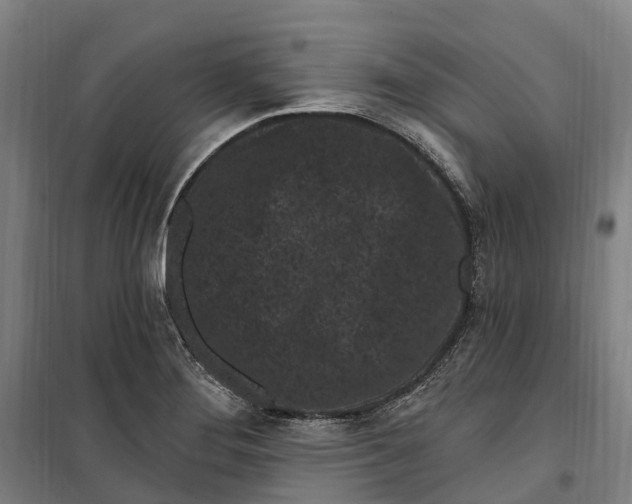 X0000099561276200806061531