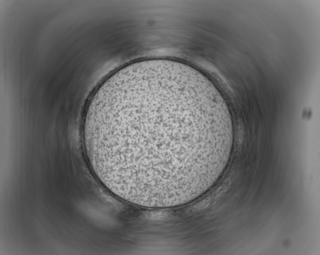 X0000099561278200806061531