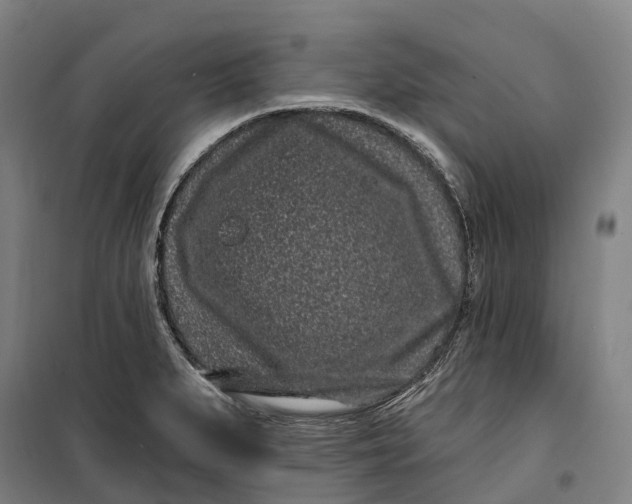 X0000099561279200806061531