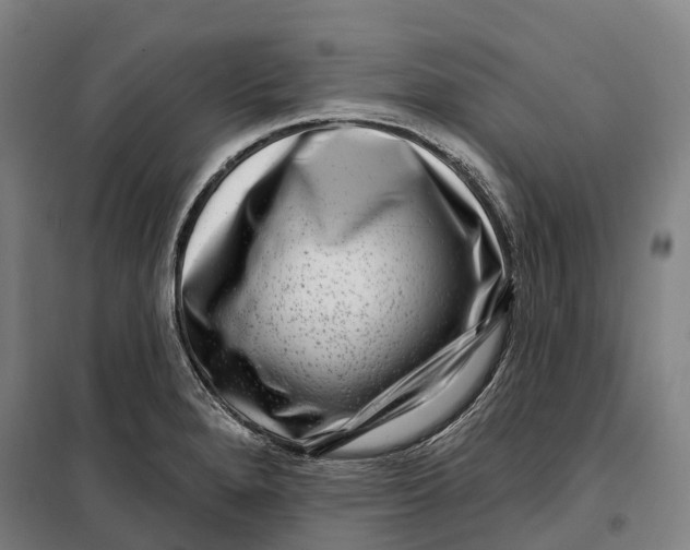 X0000099561280200806061531