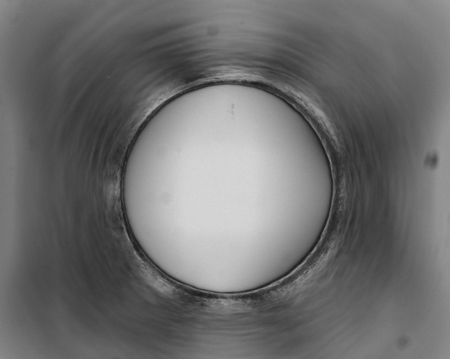 X0000099561281200806061531