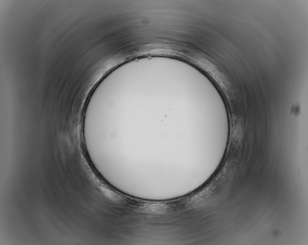 X0000099561282200806061531