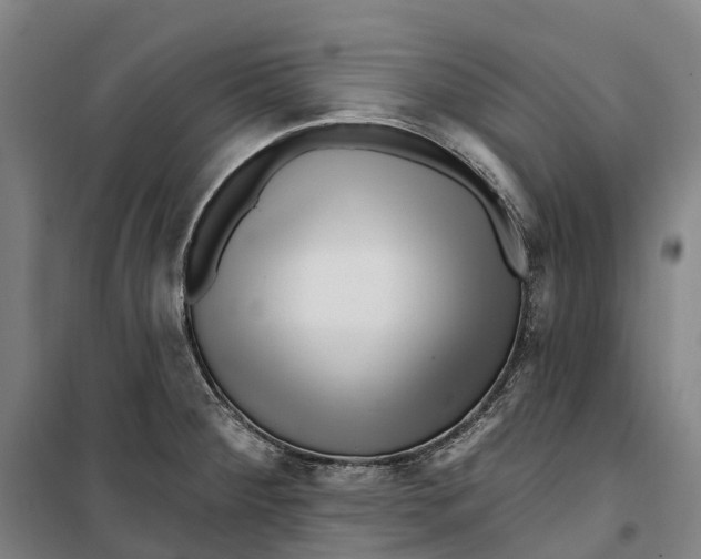 X0000099561284200806061531