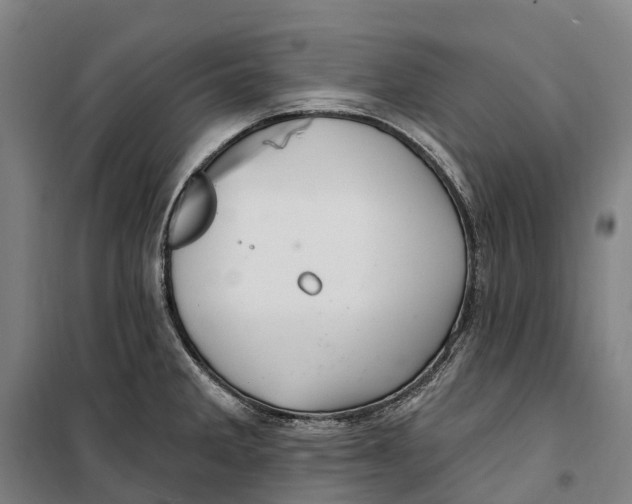 X0000099561285200806061531