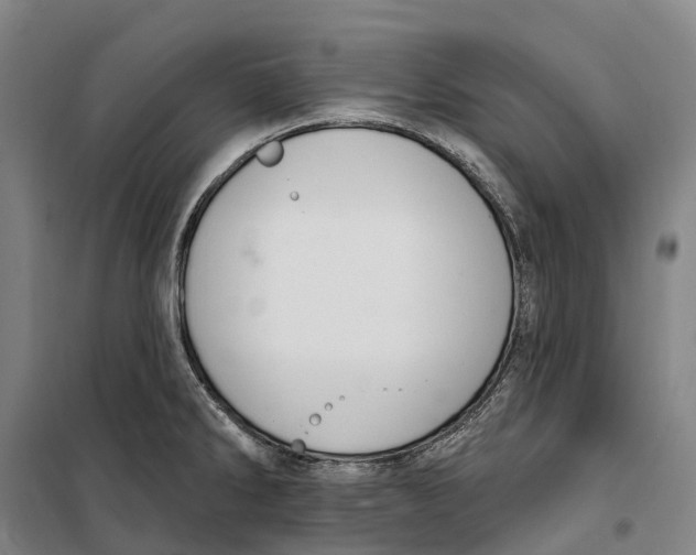 X0000099561286200806061531