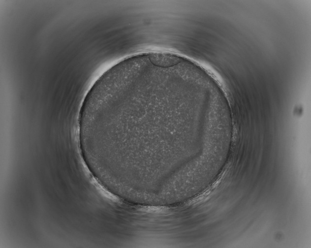 X0000099561287200806061531