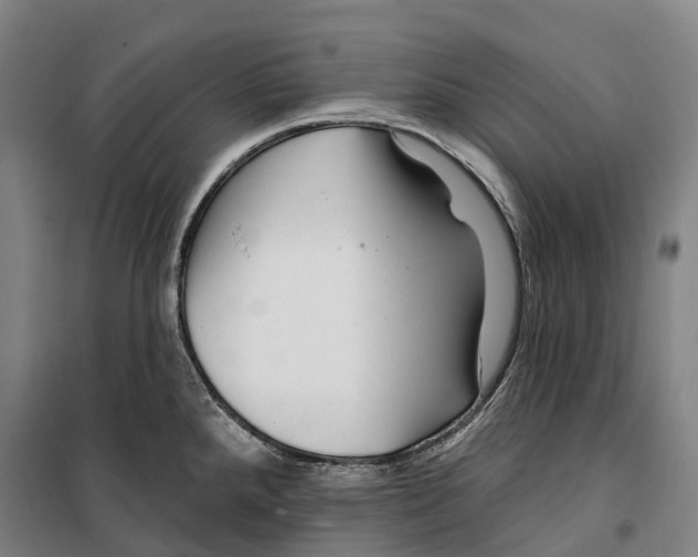 X0000099561288200806061531