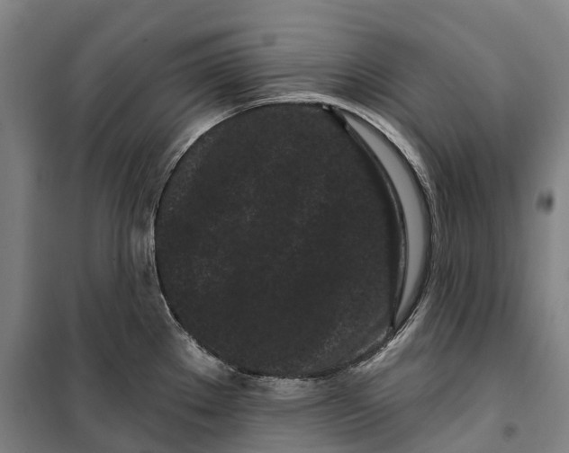 X0000099561289200806061531