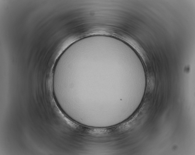 X0000099561290200806061531