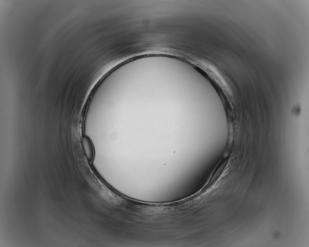 X0000099561292200806061531