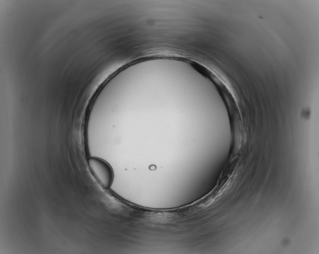 X0000099561293200806061531