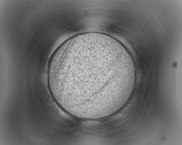 X0000099561294200806061531