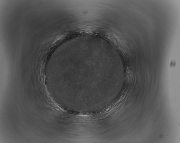 X0000099561297200806061530