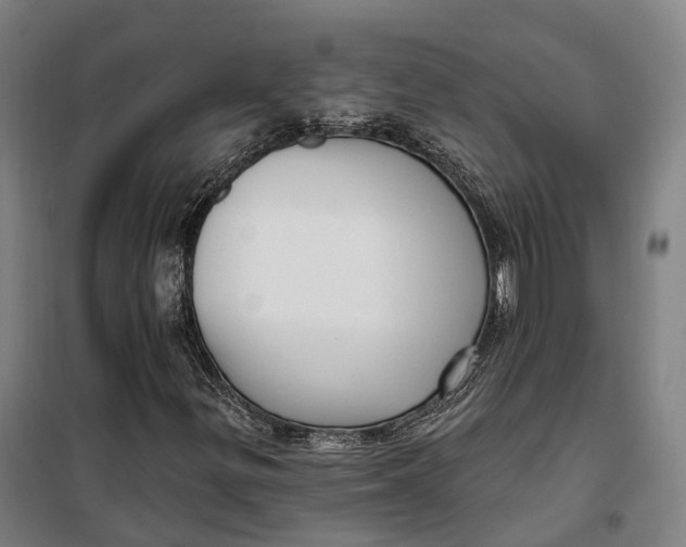 X0000099561299200806061530