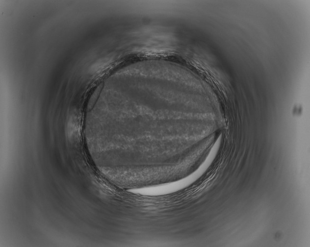 X0000099561300200806061530