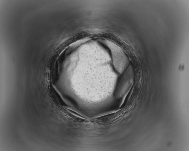 X0000099561301200806061530