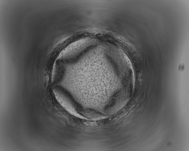 X0000099561302200806061530