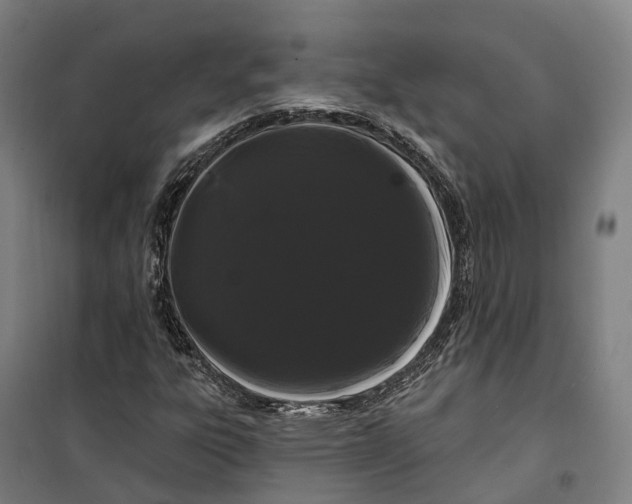 X0000099561303200806061530