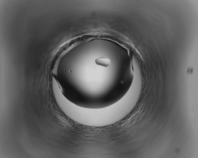 X0000099561304200806061530