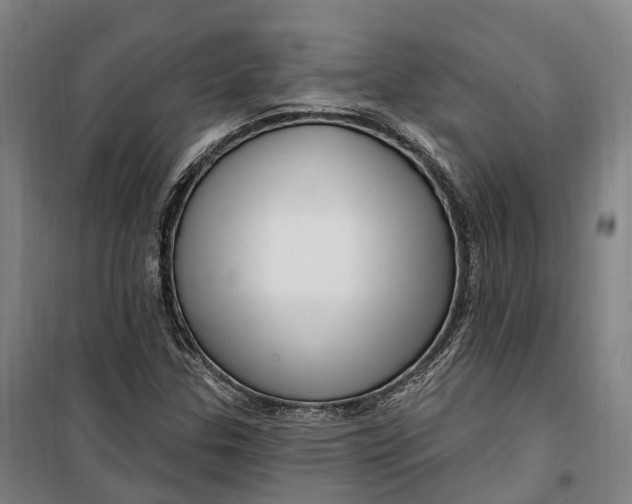 X0000099561307200806061530