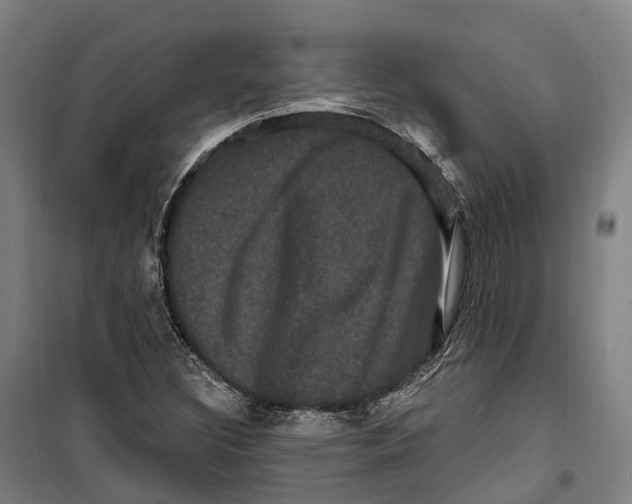 X0000099561308200806061530