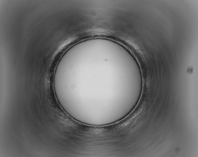 X0000099561309200806061530