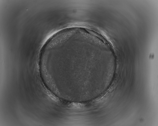 X0000099561312200806061531