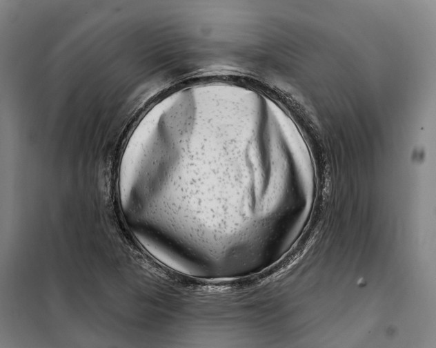 X0000099561313200806061531