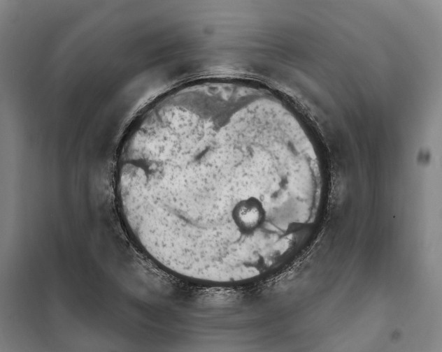 X0000099561314200806061531