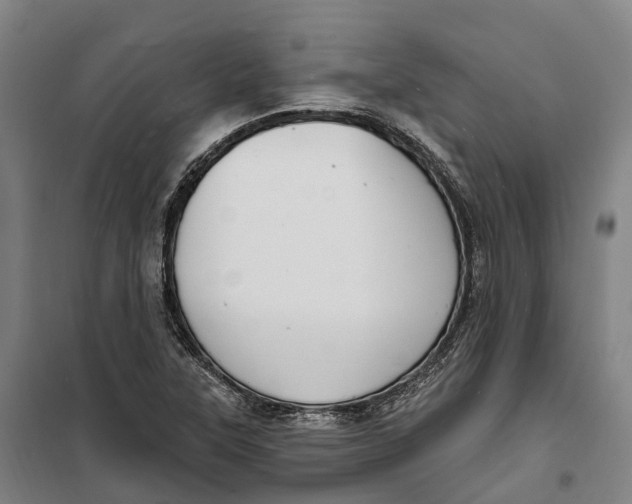 X0000099561315200806061531