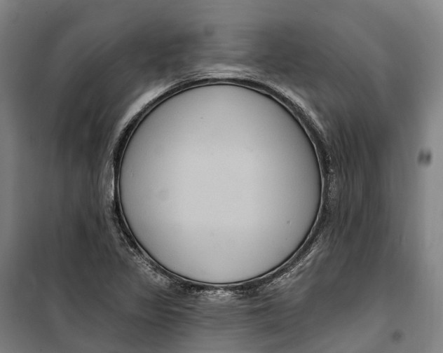 X0000099561317200806061531